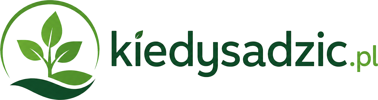 logo-kiedysadzic.pl
