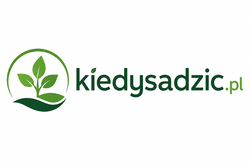 Kiedy sadzić?
